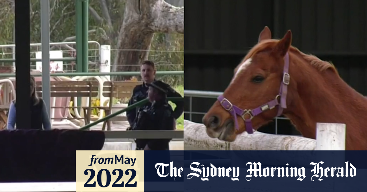 Video Woman dies after horse accident